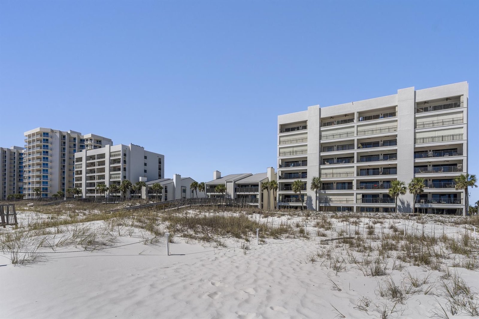 View From the Beach 